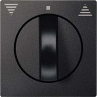 Merten Zentralplatte, Schalter anthrazit, Retail