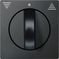 Merten Zentralplatte, Schalter anthrazit, Retail