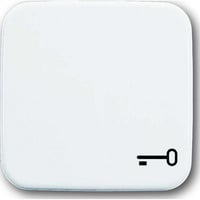 Busch-Jaeger Wippe einteilige mit Symbol Schlüssel weiß, Retail