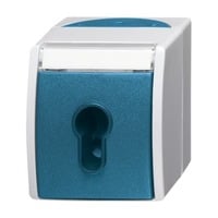 4011395992708 - Schlüsselschalter Aufputz mit Schlüssel 1-polig 10 Ampere IP44 Typ 2733 SLW-53