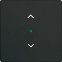 Busch-Jaeger Wippe matt schwarz, Retail