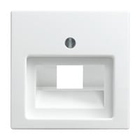 Busch-Jaeger Zentralscheibe alpinweiß für Datenkommunikation Typ 1803-914, Unterputz, Kunststoff, Abdeckung weiß (glänzend), Retail