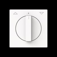 Busch-Jaeger Zentralscheibe mit Pfeil auf/ab, Abdeckung weiß, Retail