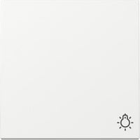 Gira Wippe mit Symbol Licht weiß, Retail