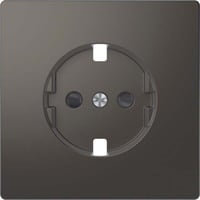 4042811196691 - Zentralplatte mit integriertem erhöhtem Berührungsschutz aus lackiertem Thermoplast