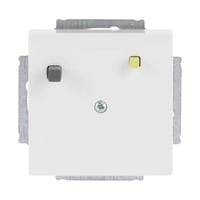 Busch-Jaeger Fehlerstromschutzschalter Unterputzeinsatz 3151 UC-84, Steckdose weiß, Retail