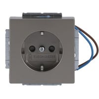 Busch-Jaeger Schutzkontaktsteckdose Einsatz 20 EUCBLI-866 edelstahl, Retail