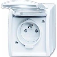 4011395079713 - 2CKA002017A0842 Schutzkontakt-Steckdose IP44 Weiß Reinweiß (RAL 9010)