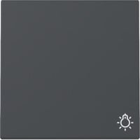 Gira Wippe Symbol Licht anthrazit, Retail