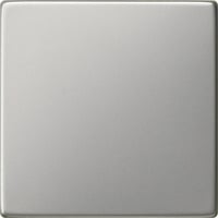 Gira Wippe Tastschalter Edelstahl edelstahl, Retail