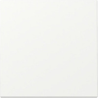 Gira Wippe einteilige Ausführung mit Klemmbefestigung, Kunststoff, matt, Schutzart IP20 weiß (matt), Retail