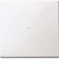 4042811034528 - Wippe für Tastermodul einfach Typ 619119 Thermoplast glänzend System M