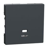 Merten Zentralplatte Zugschalter und Taster Einsatz anthrazit, Retail