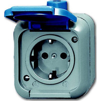 Busch-Jaeger Steckdose 2300 EWSI blau, Retail