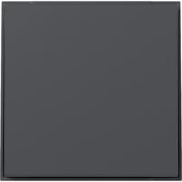 Gira Wippe gerade anthrazit, Retail