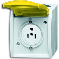 4011395023587 - Einsatz Nema-Steckdose Zinkgelb Gelb 2CKA002124A0023