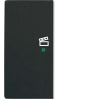 Busch-Jaeger Wippe future linear schwarz, Retail