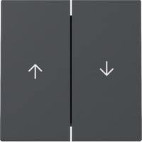 Gira GIRA Wippe 2f Pfeil Anthrazit 329428 anthrazit, Retail