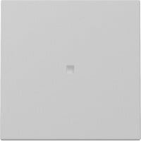 Gira Wippe mit Kontrollfenster grau, Retail