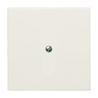 Busch-Jaeger Blindzentralscheibe mit Tragring 2138-32, Blende weiß, Retail