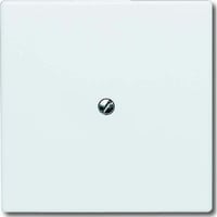 4011395911808 - 2138-32 Blindabdeckung Perlweiß Creme-Weiß 2CKA001710A2264