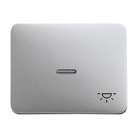 Busch-Jaeger Wippe mit Symbol Licht titan, Retail