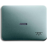 Busch-Jaeger Wippe mit Symbol Licht titan, Retail