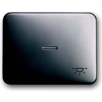 Busch-Jaeger Wippe mit Symbol Licht 1789 LI-20 platin, Retail