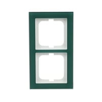 Busch-Jaeger Abdeckrahmen 2-fach grün, Retail