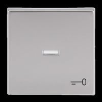 Busch-Jaeger Wippe mit Symbol Schlüssel edelstahl, Retail