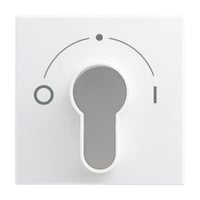 4011395190647 - 2CKA001710A4070 Zentralscheibe Jalousie Zeitschal 2557 SLPZ-914-101 2CKA001710A4070 4011395190647