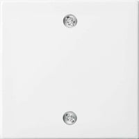 Busch-Jaeger Zentralscheibe für Schalter und Taster, Abdeckung weiß, Retail