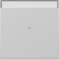 Gira Wippe Kontrollfunktion grau, Retail