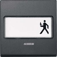 Merten Wippe Kontrast Fenster mit Schriftfeld anthrazit, Retail