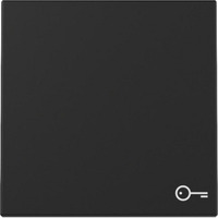 Gira Wippe mit Symbol Tür schwarz, Retail