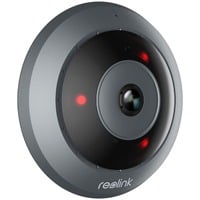 Reolink Fisheye Series P520, Überwachungskamera grau, 6,5 Megapixel, PoE