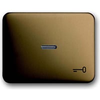 Busch-Jaeger Wippe mit Symbol Schlüssel bronze, Retail