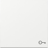 GIRA 3287 03 - Wippe mit Symbol Schlüssel, reinweiß glänzend