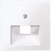 Merten Zentralplatte Aufputzweiß glänzend für Universal-Anschluss-Einsatz Kategorie 6A Typ 296225 weiß (glänzend), Retail