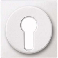 4011281894598 - Zentralplatte für Wechsel-Rastschalter-Einsatz Typ 318119 Kunststoff matt 55x55 mm 4011281894598 - Zentralplatte für Wechsel-Rastschalter-Einsatz Typ 318119 Kunststoff matt 55x55 mm