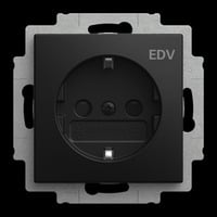 4011395358597 - Steckdosen Einsatz 20 EUCB DV 915