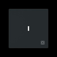 Busch-Jaeger Wippe mit Symbol Stecker mit transparenter Kalotte schwarz, Retail