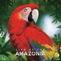 4262412340303 - Life of the Amazonia Brettspiel