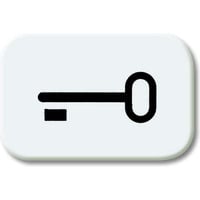 Busch-Jaeger Tastersymbol ausschaltwippe 2525 TR-214, Schlüssel weiß, Retail