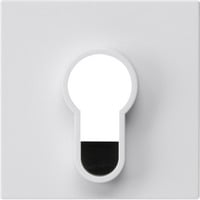 Gira Abdeckung für Schlüsselschalter und Schlüsseltaster unbedruckt glänzend weiß, Retail