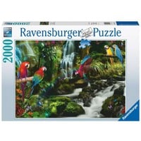 Puzzle: Bunte Papageien im Dschungel (2000 Teile) Teile: 2000 Altersangabe: ab 14 Jahren