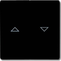 Busch-Jaeger Wippe anthrazit, Retail