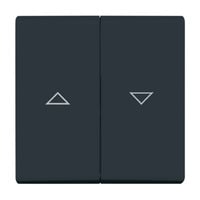 Busch-Jaeger Wippe anthrazit, Retail