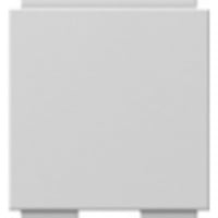 Gira Universal Blindabdeckung für Abdeckung Modular Jack 2fach mit 30 Grad Schrägauslass und Beschriftungsfeld grau, Retail