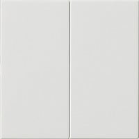 Gira Wippe zweifach weiß, Retail